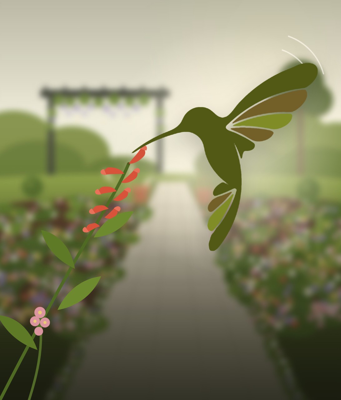 Colibrí sobre un jardín con pérgola — servicios de paisajismo de Colibrí Espacios Verdes